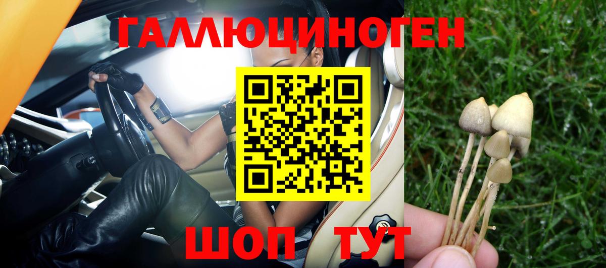 Галлюциногенные грибы мухоморы Элиста
