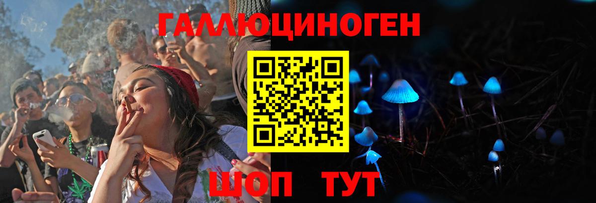 Галлюциногенные грибы Cubensis  дарнет шоп  Элиста  Галлюциногенные грибы прущие грибы  Вход с VPN 